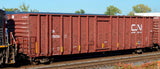 HK-29 CN 60' NSC Woodchip Gondola